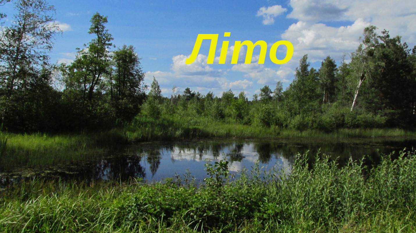 Обкладинка Літо